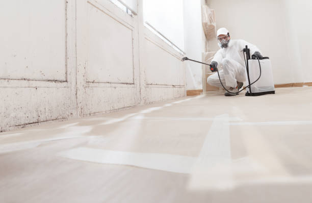 24/7 Emergency Black Mold Remediation experts in Blackwood, NJ