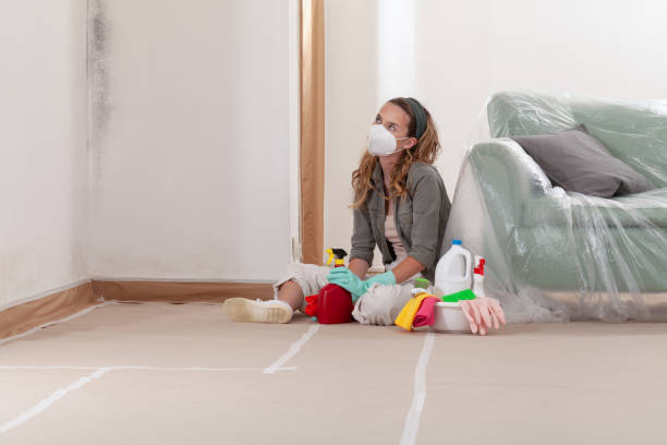 Reliable Black Mold Remediation contractor in Blackwood, NJ by Mold Remediation HQ